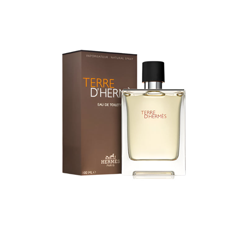 Hermes Terre D&