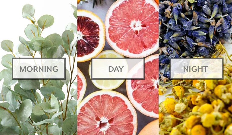 How to Choose the Perfect Perfume for Your Personality, Lifestyle & Daily Routine ?