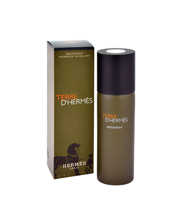 Hermes Terre D&